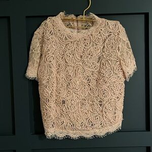 Zara Blush Pink Lace Top, sheer, Small